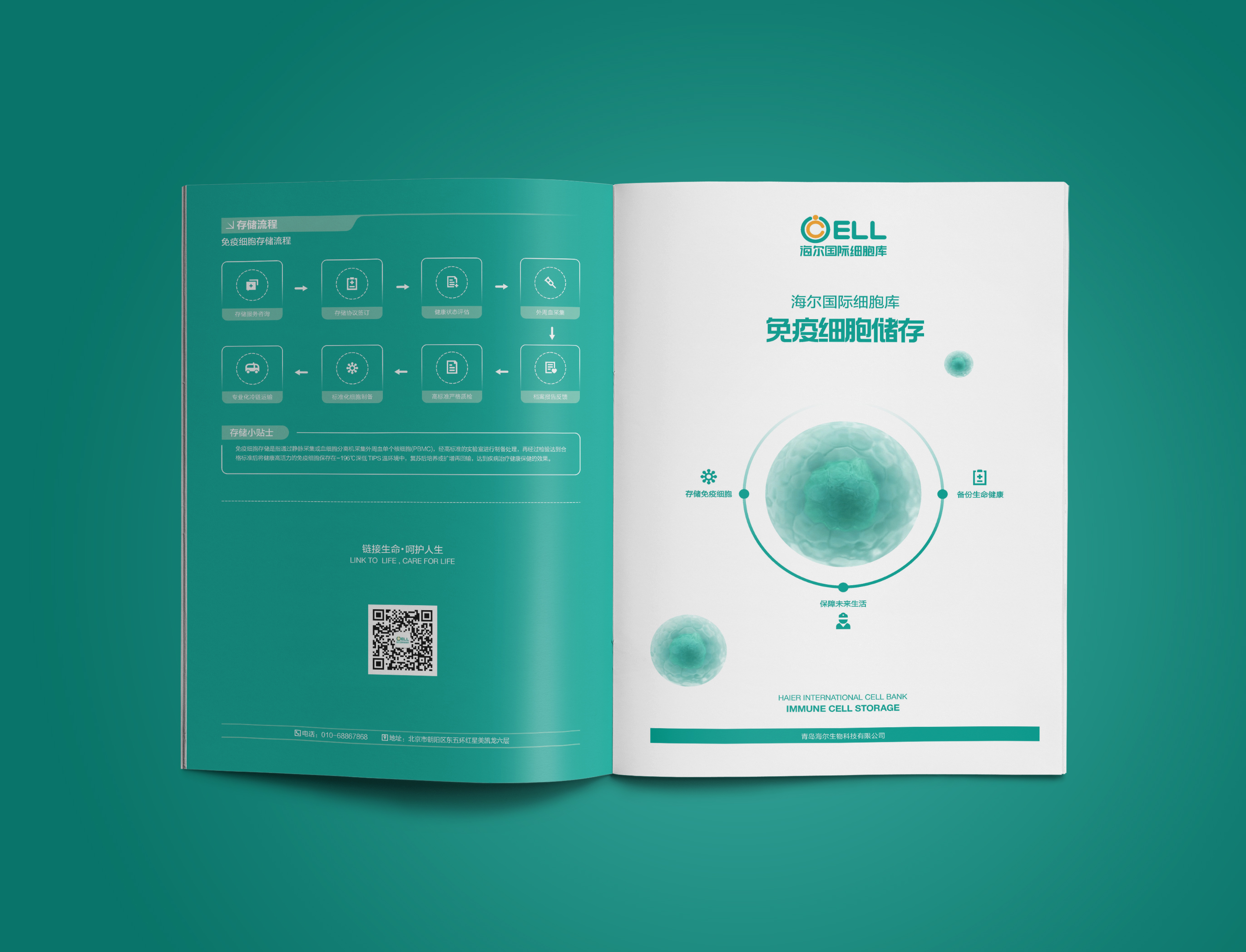 海尔细胞基因医疗画册设计